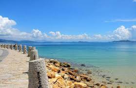 Cycle Through Yangmeikeng